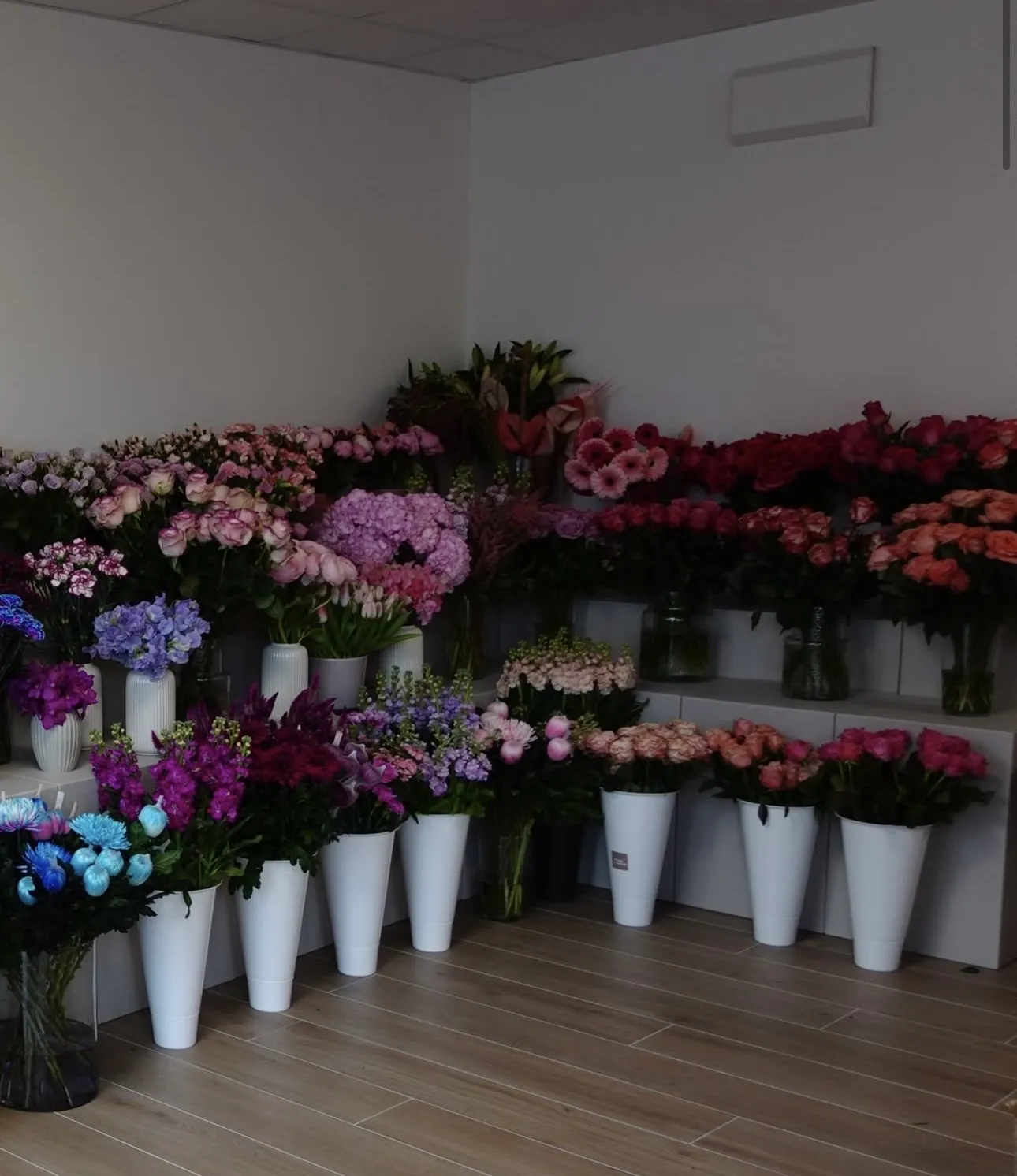 Blick in unser Studio – frische Blumenauswahl